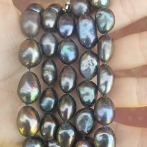 Abalone shell necklace